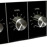 Avatars-000000572461-3pjpgs-badge