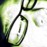 Avatars-000000595609-488uob-badge