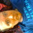 Avatars-000000596208-aws5og-badge