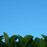 Avatars-000000611247-vgw9fr-badge
