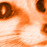 Avatars-000000618029-8l8fyg-badge