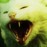 Avatars-000000623907-cvmmfc-badge