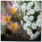 Avatars-000000642037-1ub07j-badge