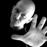 Avatars-000000648066-ge1oph-badge