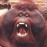 Avatars-000000651687-7so8d9-badge