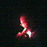 Avatars-000000679454-pm0a49-badge