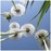 Avatars-000000684970-q65ysz-badge