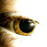 Avatars-000000689146-g3sg5a-badge