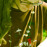 Avatars-000000703298-0zv72c-badge