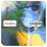 Avatars-000000762588-rjauty-badge