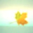 Avatars-000000782105-6vrx2v-badge