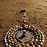 Avatars-000000794489-klms20-badge