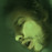 Avatars-000000846702-2tw4yz-badge