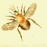 Avatars-000000876985-dfmjxs-badge