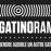 Avatars-000000946254-bttcv2-badge