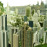 Avatars-000001058769-2gg5tn-badge