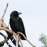Avatars-000001069034-l7ne6w-badge