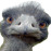 Avatars-000001122745-33dreh-badge