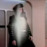 Avatars-000001134445-o2wsvm-badge