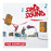 Avatars-000001135569-gf88ss-badge