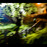 Avatars-000001142771-6imfal-badge
