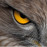 Avatars-000001164904-6zwri7-badge