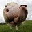 Avatars-000001258971-tbctk1-badge