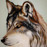 Avatars-000001376229-wol14i-badge