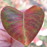 Avatars-000001390525-zqpmxe-badge
