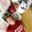 Avatars-000001410593-987dgp-badge