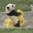 Avatars-000001466648-3ncvox-badge