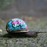 Avatars-000001513823-7incox-badge