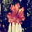 Avatars-000001522001-sob6xr-badge