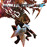 Avatars-000001553980-x2nqjv-badge