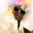 Avatars-000001664807-4zzyf9-badge
