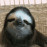 Avatars-000001716307-876e3b-badge