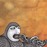 Avatars-000001725966-2w87wq-badge