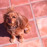 Avatars-000001759549-v9ssui-badge