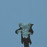 Avatars-000001846796-a37mlg-badge