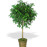 Avatars-000001875851-mn1f17-badge