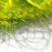 Avatars-000001944248-vez32n-badge