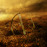 Avatars-000002078584-eldcao-badge