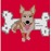 Avatars-000002079523-pinx5j-badge