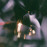 Avatars-000002091598-ojxhhk-badge