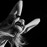 Avatars-000002122634-3spiai-badge