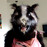 Avatars-000002148789-oq7w72-badge