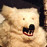 Avatars-000002174677-ebx9vt-badge