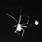 Avatars-000002191109-cvddjl-badge
