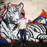 Avatars-000002208226-xnwsyq-badge