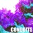Avatars-000002248722-0aoo1u-badge